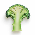 Cross-section of a fresh Waltham 29 broccoli head showing the light green stalk and dense blue-green florets.