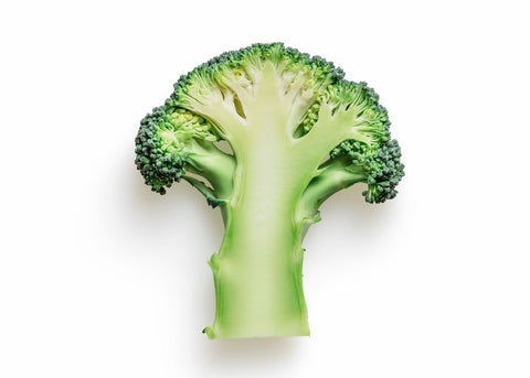 Heirloom Seeds_Broccoli Waltham 29_Bucktown Seed Company-03