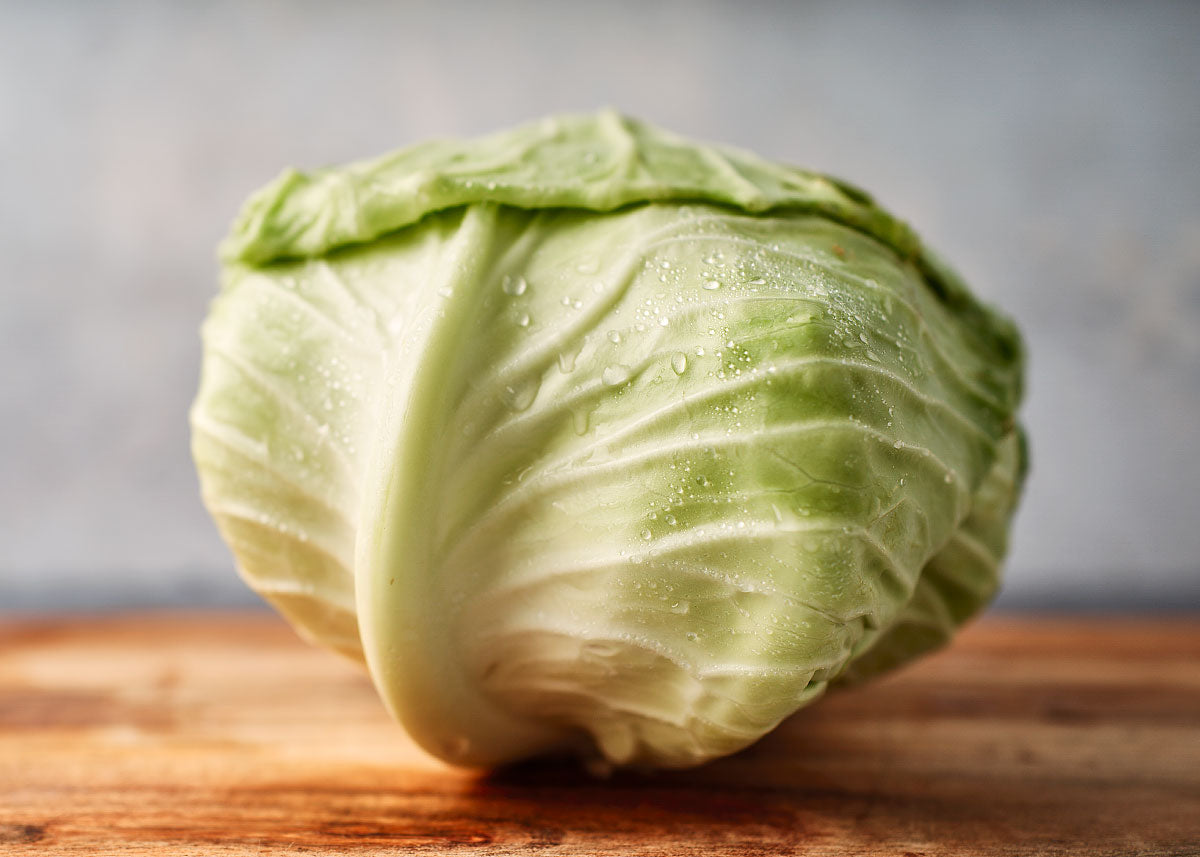 Late Flat Dutch Cabbage Seeds Bucktown Seed Company