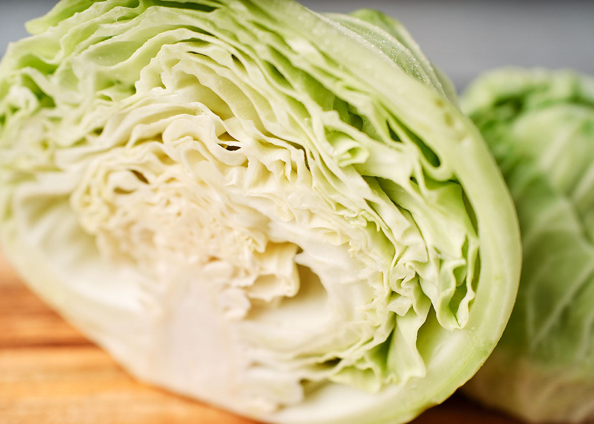 Late Flat Dutch Cabbage Seeds Bucktown Seed Company