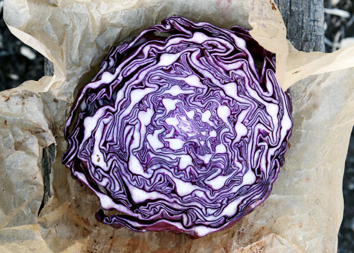 Red Express - Cabbage