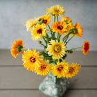 A bouquet of Pacific Beauty Mix calendula flowers in shades of orange, gold, and cream in a green vase on a wooden table.