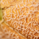 Close-up of the textured, tan-colored netting on the rind of a Delicious 51 cantaloupe melon.