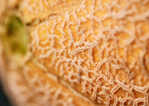 Heirloom Seeds_Cantaloupe_Delicious 51_Bucktown Seed Company-03