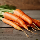 Freshly harvested Danvers 126 carrots with bright orange roots and green tops resting on a rustic wooden surface.