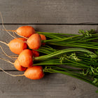 Freshly harvested round Paris Market carrots with green tops arranged on a rustic gray wooden surface.