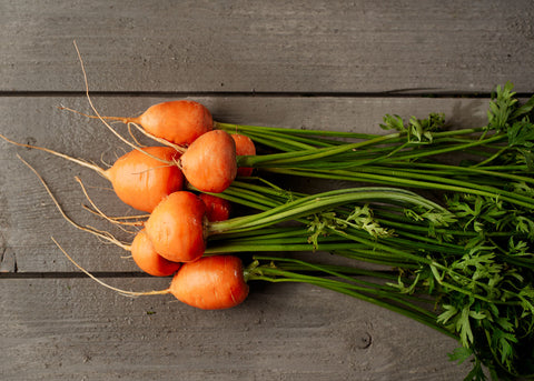 Heirloom Seeds_Carrot Parisian_Bucktown Seed Company-04