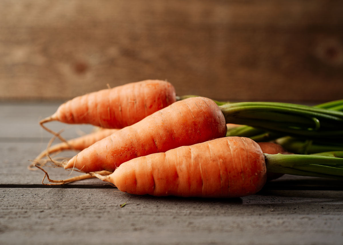 Heirloom Seeds_Carrot Red Cored Chantenay_Bucktown Seed Company-04