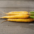 Freshly harvested Solar Yellow carrots with bright green tops lying on a rustic gray wooden surface.