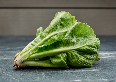 Heirloom Seeds_Escarole Natacha_Bucktown Seed Company-01
