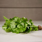 Freshly harvested bunch of bright green Slow-Bolting Cilantro tied with twine on a white marble surface.