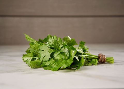 Heirloom Seeds_Cilantro_Bucktown Seed Company-03