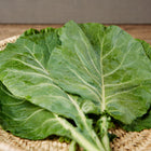 Fresh Georgia Southern collard leaves with dew drops resting in a woven wicker basket on a wooden surface.