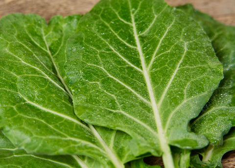 Heirloom Seeds_Collards Morris Heading_Bucktown Seed Company-02