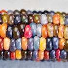 Close-up of Glass Gem corn kernels in vibrant jewel tones of blue, pink, gold, green, orange, and deep red.
