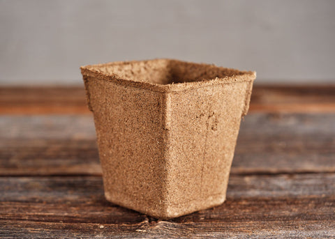Biodegradable Garden Pots - 4" Square CowPots – 12 Pots