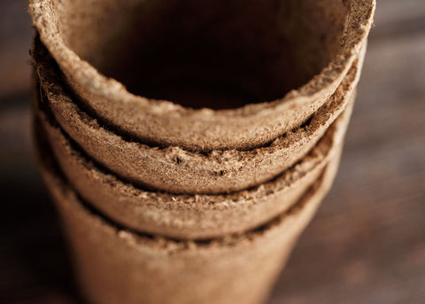 3" CowPot Seed starting pot - Bucktown Seed Company_05