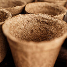 Close-up of brown, 3-inch round CowPots made from composted cow manure for seed starting.