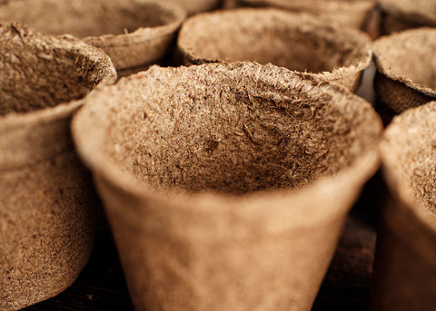 3" CowPot Seed starting pot - Bucktown Seed Company_04