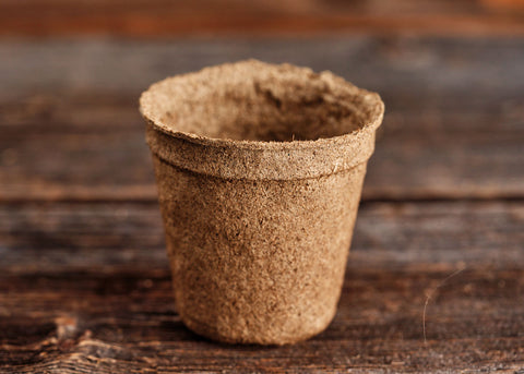 3" CowPot Seed starting pot - Bucktown Seed Company_06
