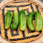 Five fresh, green National Pickling cucumbers arranged on a round, woven bamboo basket tray.