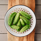 Freshly harvested Parisian Pickling cucumbers in a white decorative colander on a wooden cutting board.