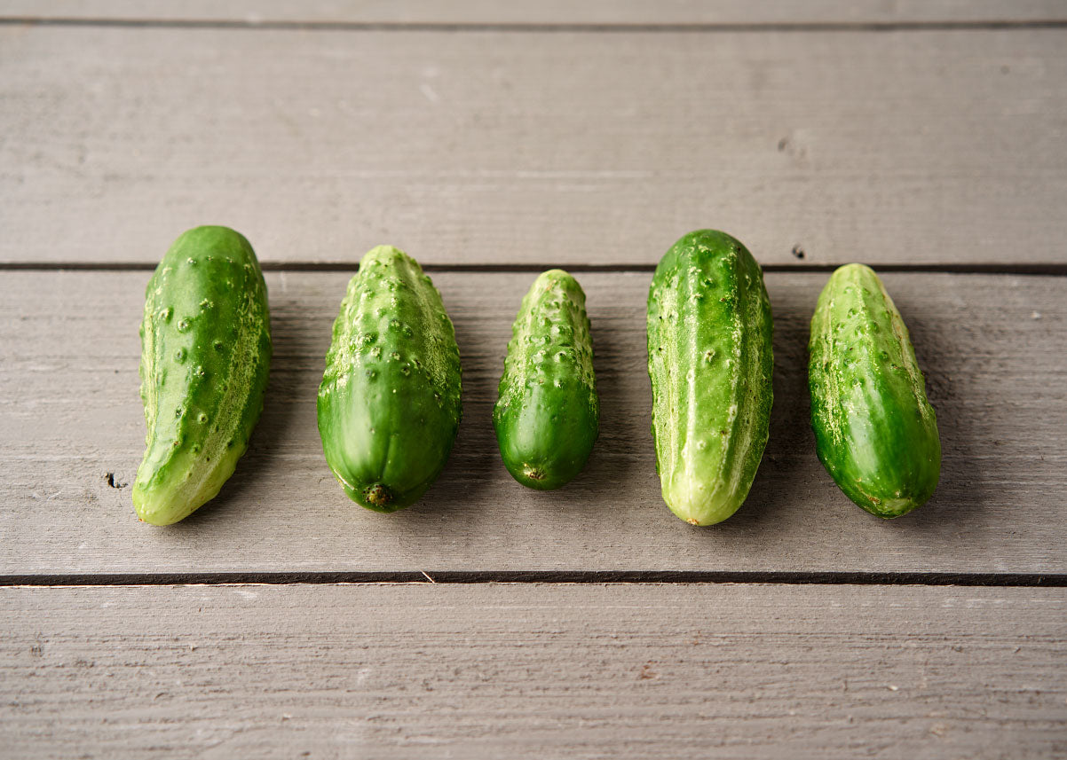 Heirloom Cucumber Seed- Parisian Pickling Cucumber-Bucktown Seed Company_04