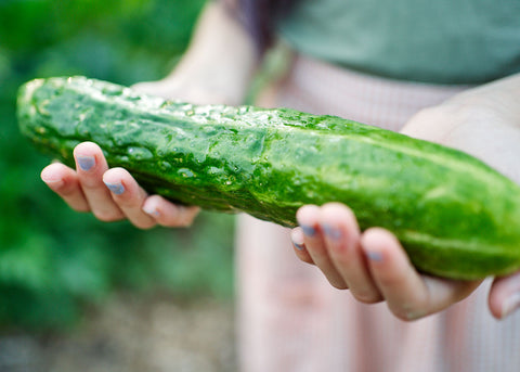 Heirloom Seeds - Suyo Long Cucumber - Bucktown Seed Company-03