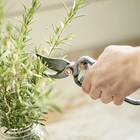 Hand holding a Barebones Garden Pruner with steel blades and copper accents, trimming a rosemary sprig in a glass jar.