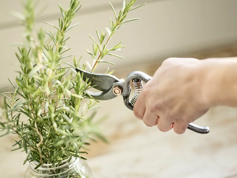 Garden Pruner - Barebones