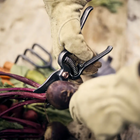 Barebones Garden Pruner with steel blades and copper accents trimming beet stems while wearing leather gloves.