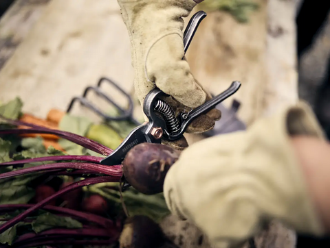Garden Pruner - Barebones