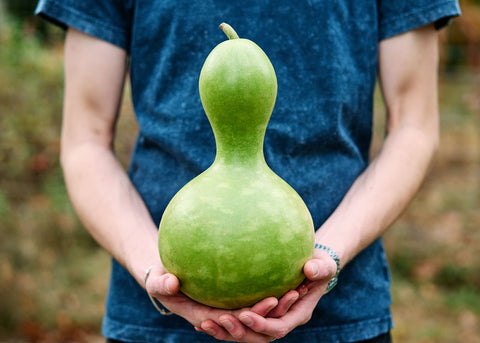 Gourd_Birdhouse_Seeds_001