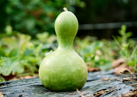 Gourd_Birdhouse_Seeds_003
