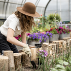 Person in a hat using a Barebones Garden Trowel to plant flowers in a greenhouse soil bed.
