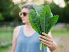 Person holding a bunch of dark green, quilted Lacinato kale leaves in a garden setting.
