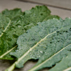 Dew-covered Lacinato kale leaves with quilted, blue-green texture resting on a wooden surface.