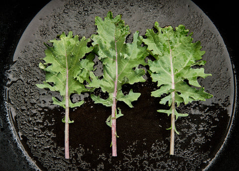 Heirloom Seeds_Kale Red Russian_Bucktown Seed Company-02