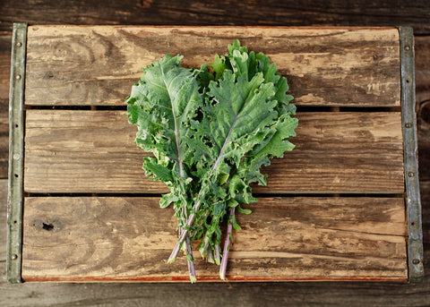 Heirloom Seeds_Kale Red Russian_Bucktown Seed Company-05