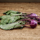 Freshly harvested Purple Vienna kohlrabi bulbs with vibrant violet skin and green leaves on a rustic wooden surface.
