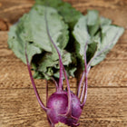 Freshly harvested Purple Vienna kohlrabi bulb with green leaves resting on a rustic wooden surface.