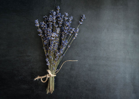 Heirloom Seeds_Lavender Munstead_Bucktown Seed Company_03