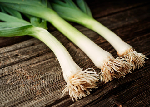 Heirloom Seeds_Leeks American Flag_Bucktown Seed Company-03