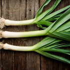 Three harvested American Flag leeks with white stems and long green leaves on a rustic wooden background.