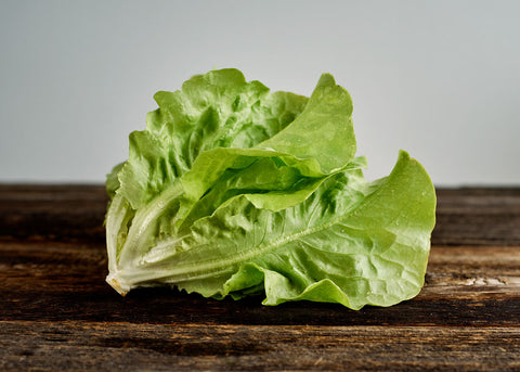 Heirloom Seeds_Lettuce Big Boston_Bucktown Seed Company-04