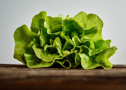 Heirloom Seeds_Lettuce Big Boston_Bucktown Seed Company-05