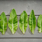 Five fresh, triangular Deer Tongue lettuce leaves arranged in a row on a grey wooden surface.