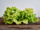Fresh, ruffled green leaves of Iceberg lettuce resting on a rustic dark wooden surface.