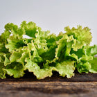 Fresh, ruffled green leaves of Iceberg lettuce resting on a rustic dark wooden surface.