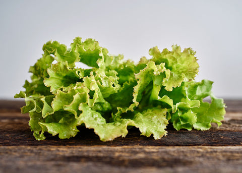 Heirloom Lettuce - Iceberg - Seed - Bucktown Seed Company_02